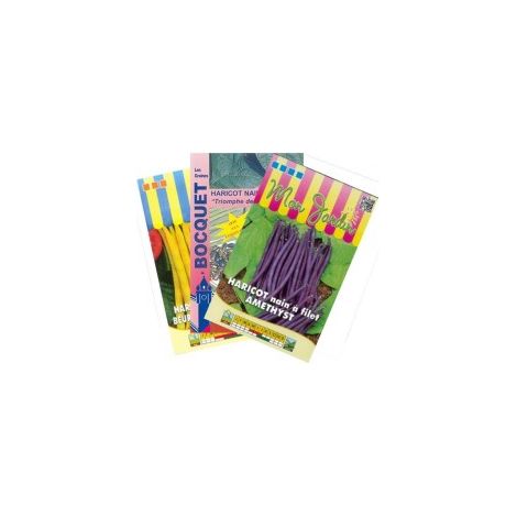 Lot de Haricot Nain Coloré (3 sachets de graines à semer) - 300g