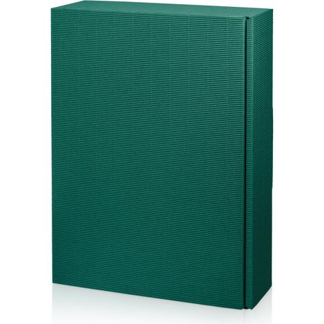 500 x Präsentkarton für 3 Flaschen 360x250x90 mm offene Welle Grün (1/3)