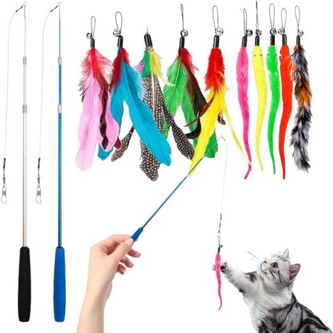 Giocattoli per gatti - Set da 12 pezzi - Giocattoli interattivi per gatti - Asta telescopica - Molle e insetti - Gioco in casa - Riduce l'attività notturna - Ecologico (1/5)