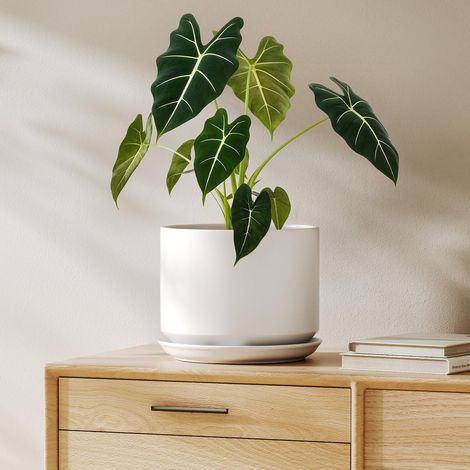Pot de Fleurs en Céramique 20 cm, Pot de Fleurs avec Soucoupe Intégrée et Trou de Drainage, Jardinière Moderne au Style Minimaliste, Finition Mate pour Plantes d'Intérieur, Blanc (1/5)