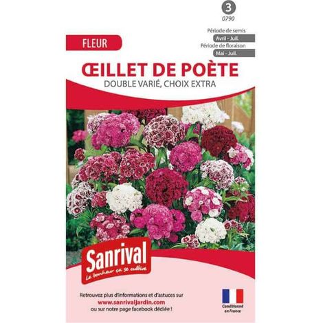 Graines 'illet Poete Double Varié