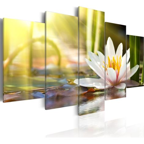 Quadro - Sunny Lotus - 200x100 (1/4)