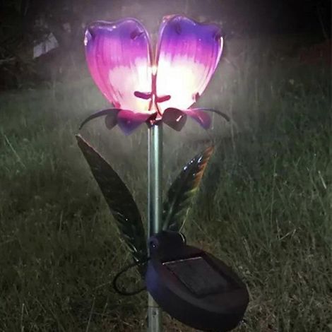 Tuteurs solaires en verre pour fleurs, lot de 2 lampes solaires de jardin pour allée, cour ou pelouse
