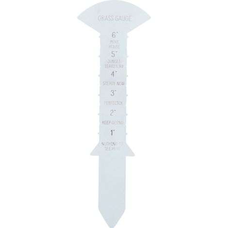 Jauge d'herbe 30cm transparente, règle de mesure amusante en fer robuste pour jardin, pelouse et gazon. (1/5)