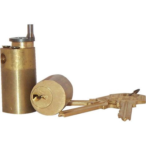 Cylindre de serrure ZENITH 45mm laiton poli – 3 clés paracentriques – Protection contre la corrosion – Compatible avec ISEO CAVERS - 56370451S