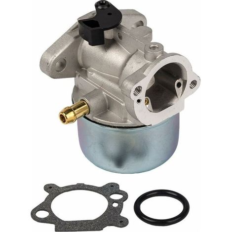 Carburateur 799868 avec joint et joint torique de Compatible with carburateur Briggs & Stratton 498170 498254 497347 497314 694202 H (1/5)