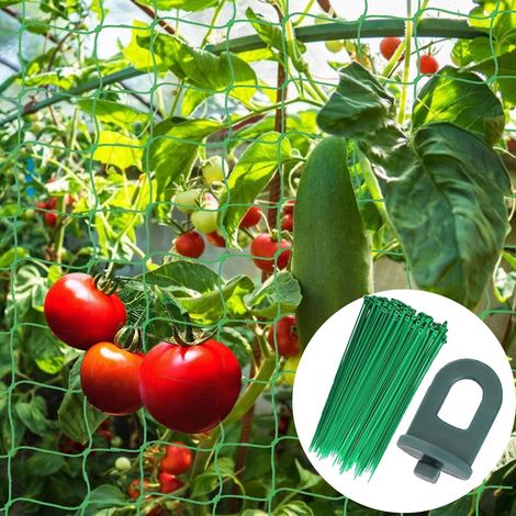 Filet pour Plantes,1,8 m x 2.7 m Filet de Support pour Plantes grimpantes - pour Plantes grimpantes, Serre de Jardin,Treillis Jardin Filet pour Plantes Grimpantes,Treillis Filet de Fixation (1/5)