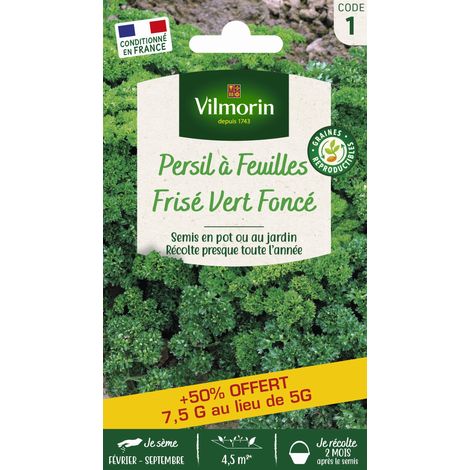 Persil Frisé Vert Foncé + 50% Offert Vilmorin (1/3)