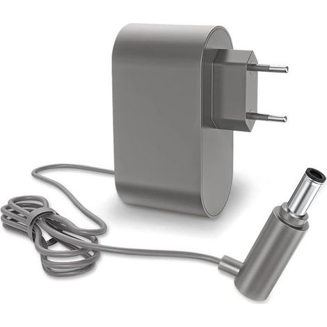 Chargeur pour Dyson V6 V7 V8 DC58 DC59 DC61 DC62 SV03 SV04 SV05 SV06 SV07, Aspirateur AC Adaptateurs pour Dyson, Gris (1/5)
