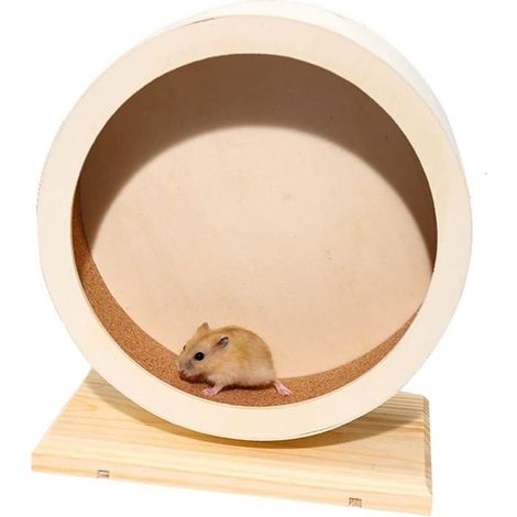 Jouet pour animaux - BEIJIYI - Roue silencieuse en bois - Taille M - Non toxique - Support stable (1/5)