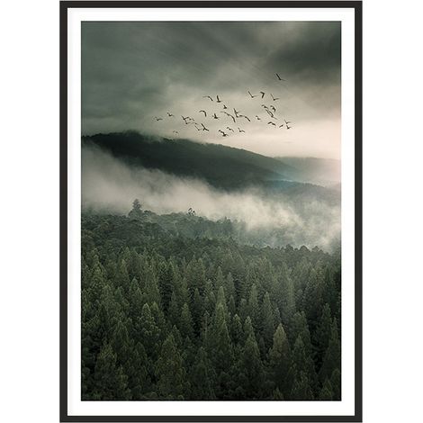 CUADRO, PÓSTER ENMARCADO 53x73 cm Montañas P2017 (1/4)