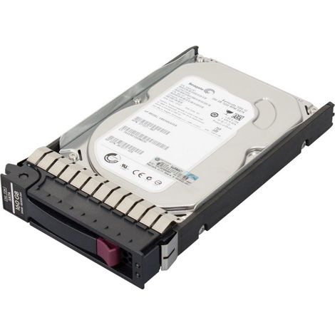 HP Enterprise 160G 7 200 tr/min SATA 3,5" 483095-001