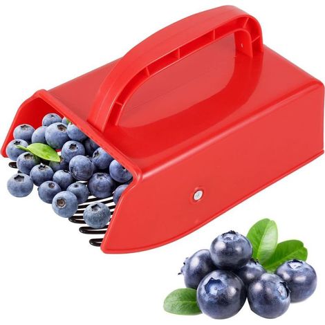 Peigne à Myrtilles, Cueilleur à Baies en Plastique, Outil de Cueillette de Fruits avec Peigne Métallique, Ramasse Fruits pour Cueillette des Framboises, Mûres, Myrtilles et Cassis (1/5)