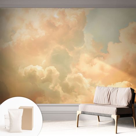 Papier peint intissé mural installation rapide du papier peint durable et résistante - Colle incluse gratuite Nuages éthérés 312x219 cm (1/5)