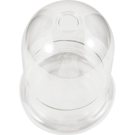 Ökologische Glasflasche als Pflanzenterrarium aus Glas mit