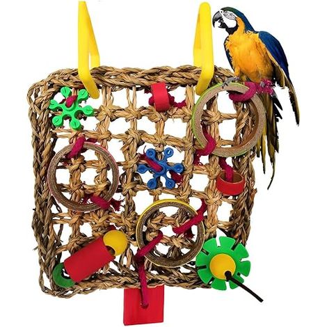 Jouet pour Oiseau Jouet Perruche Budgie Accessoire Perroquet Calopsitte Cage Jouet Suspendu Activité Volière Oiseaux Jouet à Griffer (1/5)