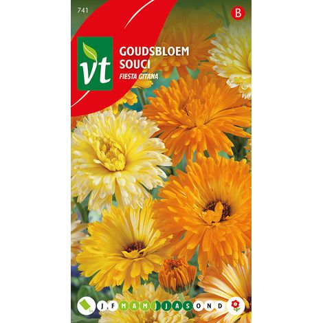 Souci Calendula Fiesta Gitana - Ca. 1,25 gr (Livraison Gratuite) (1/3)