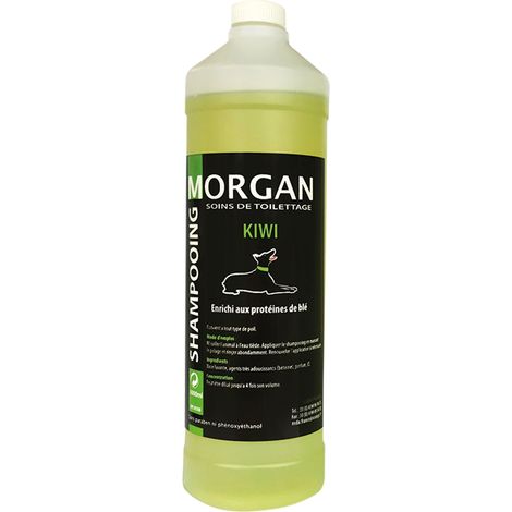 Shampoing protéiné senteur Kiwi Morgan : 1L