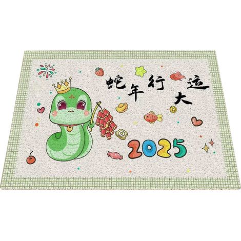 Paqueton à la porte pour l'année du Serpent 2025, paillasson en fibres résistant aux taches et à l'abrasion, dimension 40x60cm pour décapage des pieds, livré déplié. (1/5)