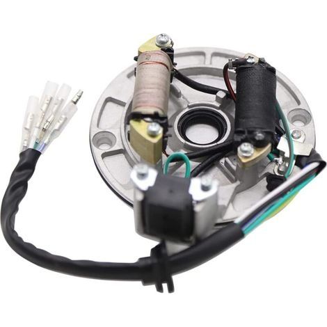 2-Spulen-Magnetostator-Ersatz für 50 cm³, 70 cm³, 90 cm³, 110 cm³, 125 cm³ Kickstarter-ATVs, Dirtbikes und Go-Karts (1/3)
