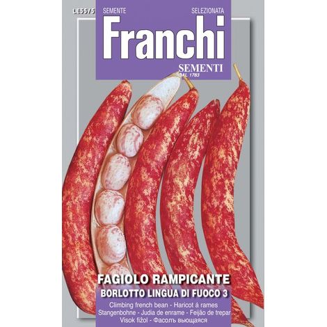 SCATOLA SEMI DI FAGIOLO RAMPICANTE BORLOTTO LINGUA DI FUOCO N.3 ORTO GIARDINO SEMI