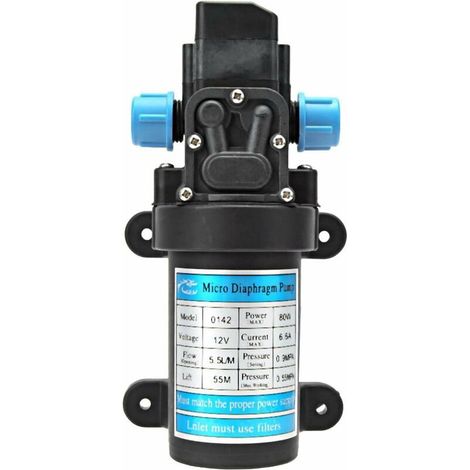 Green Mobility-Pompe à Eau Portable de Transfert, Pompe à Eau électrique à Haute Pression Micro-diaphragme électrique DC 12V 80W (1/5)
