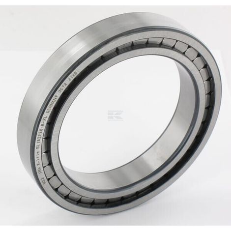 Cylindrical roller bearing 100x140x24mm INA/FAG INA/FAG SL182920BXL (1/3)