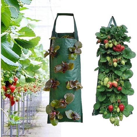 Filiyano-Jardin vertical mural à 4 ou 8 poches, sacs de culture verts à 8 poches (1/5)