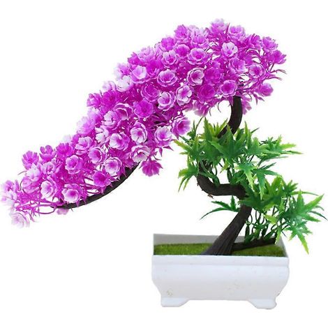 Bouquet fleuri, plante, arbre, bonsaï en pot, décoration de bureau, jardin, fêterouge violet (1/5)