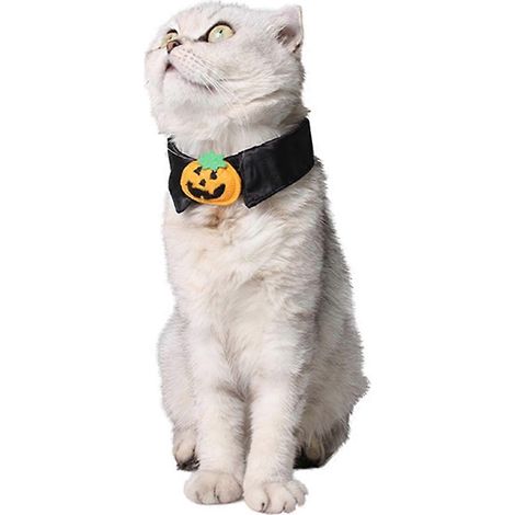 Collar de calabaza para gatos con corbata negra, ideal para la vida diaria. (1/5)