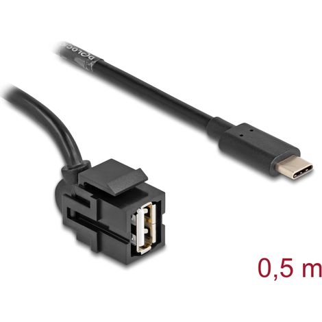Delock MÃ³dulo Keystone USB 2.0 A hembra  USB Type-Câ¢ macho 250Â° con cable 0,5 m
