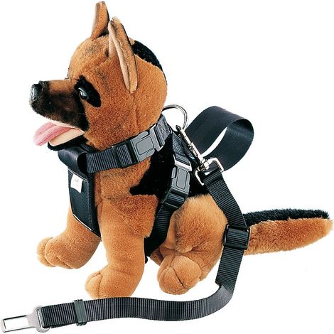 Harnais nr1 avec ceinture sécurité voiture S (1/2)