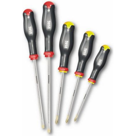 USAG U03240645 324 SH5 Serie von 5 Schraubendrehern mit Schlitz und Phillips Kreuzschlitz