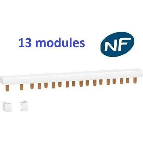 Disjoncteur 1P+N 2A - 10A - 16A - 20A - 32A et Interrupteur dif A ou AC 2x40A ou 2x63A Schneider Rési9-XP Matériel: Peigne 13 modules