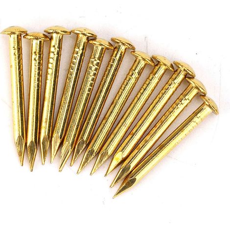 Quincaillerie pour charnières de meubles avec 100 clous en laiton à tête ronde, spécifications 10 mm/15 mm/18 mm/22 mm, version épaissie de 22 mm de long. (1/5)