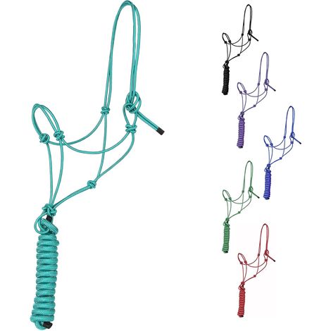 1 Licol Cheval, Corde Polyester 4 Nœuds, Laisse 3m, Équitation