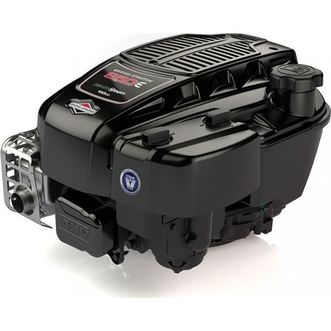 Moteur Briggs Stratton 190cc 850E series IC 25x80 volant lourd (1/2)