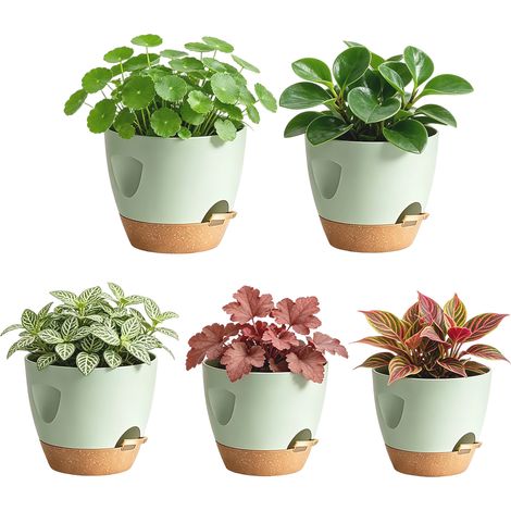 Lot de 5 pots de fleurs en plastique – Jardinières auto-arrosantes avec réservoir d’eau – Usage intérieur et extérieur – Vertes (12 à 17 cm) (1/5)