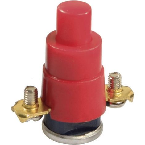 Interruptor térmico Asschwabe 10936ET 16 amperios 230 voltios