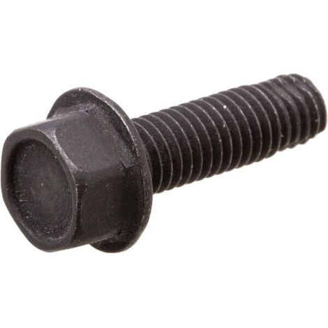 Vis BRIGGS ET STRATTON 590562 (1/2)