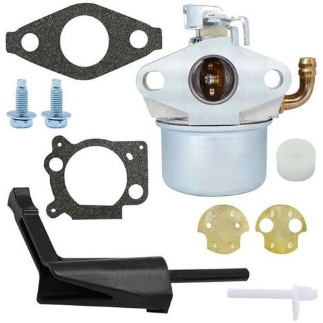 Carburateur Briggs & Stratton pour 214706 214706T 215369 215434 792970 020382