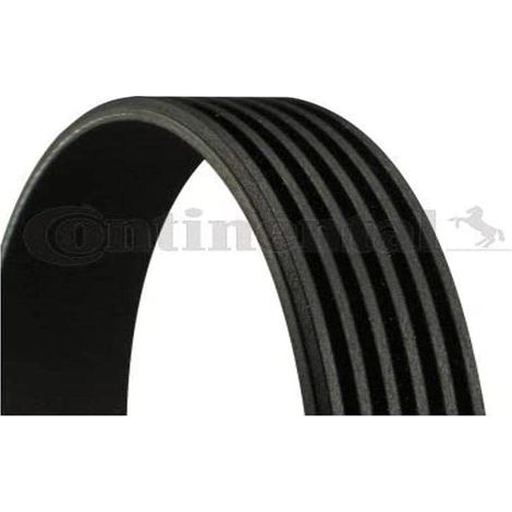 Cinturón multicanal CONTITECH 6 PK 780 ELAST