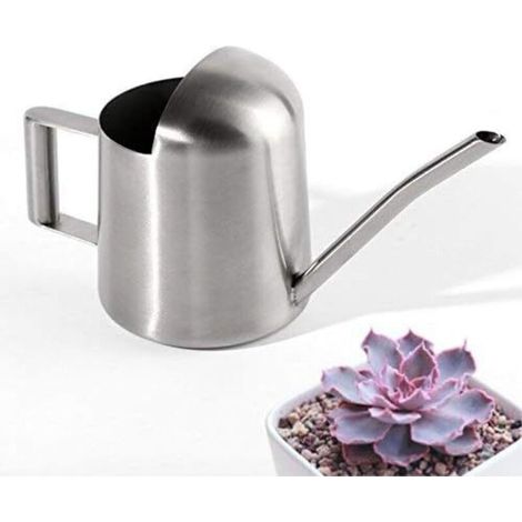 Mini Arrosoir de Jardin en Acier Inoxydable pour la Maison et Bureau Plantes-Fei Yu
