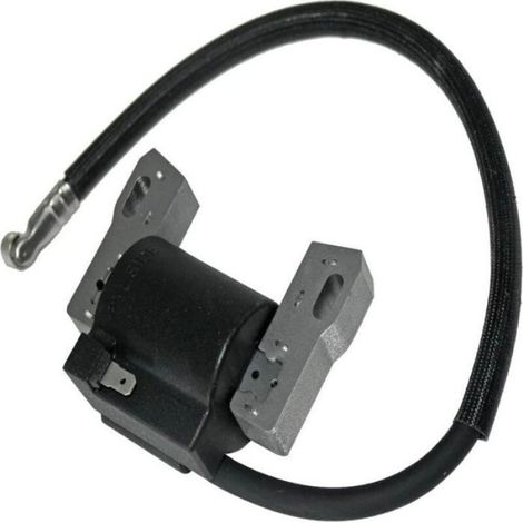 Bobine D Allumage Haute Tension - Compatible References 691060 592846 799651 499447 401577 - Pour Tondeuses Et Machines De Jardin - Pack De 1 Unite (1/5)