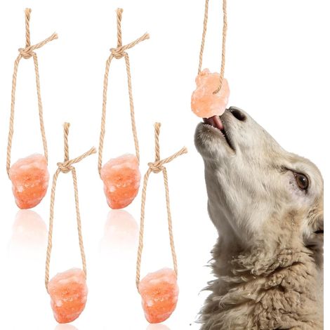 Bloc de Sel Minéral à Lécher pour Animaux, Riche en Minéraux, 4pcs, Améliore la Vitalité des Lapins et Cerfs (1/5)