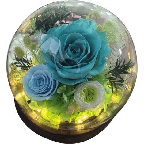 Flores preservadas bajo una cúpula de cristal: regalos para tu novia/esposa en el Día de Qixi, San Valentín, Navidad, graduación o cumpleaños.