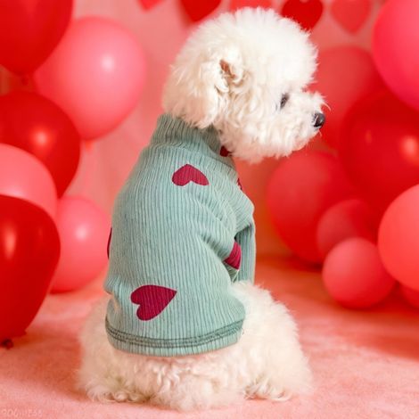 Vêtements pour petits chiens, style printanier, sweat-shirt confortable(Taille XS、Vert haricot) (1/5)