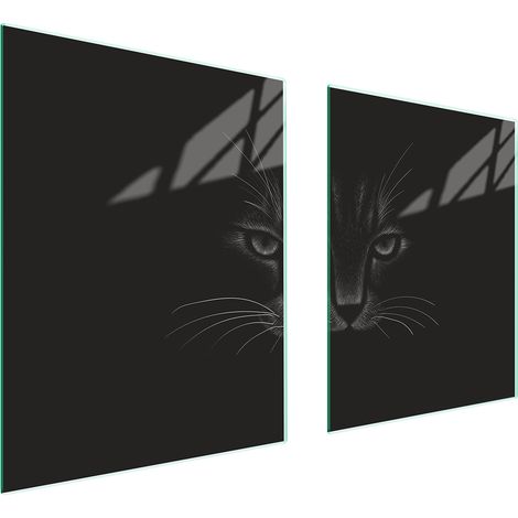 GLASSCHUTZPLATTE FÜR HERD 85x52 CAT (1/5)