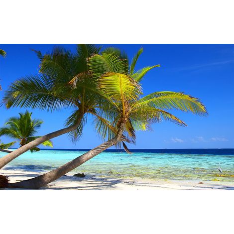 Affiche paysage cocotier paradise - 60x40cm - made in France (1/5)