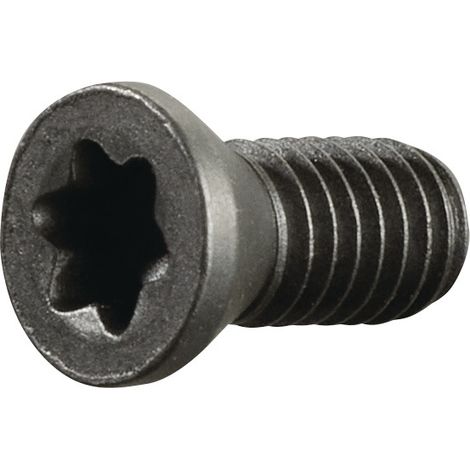 Tornillo tensor M3,5 rosca L.8mm para portaherramientas de sujeción SE R/ SI L TECWERK (1/2)